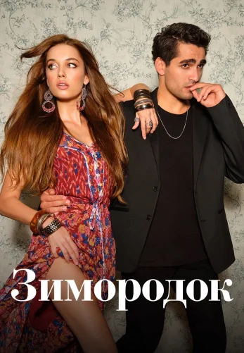 Зимородок 3 сезон 100 серия русская озвучка Turok1990 смотреть бесплатно онлайн